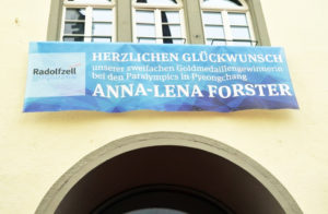 Banner, Anna-Lena, Mesh